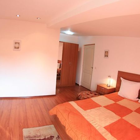 Pensiunea Studio Bacau Ngoại thất bức ảnh